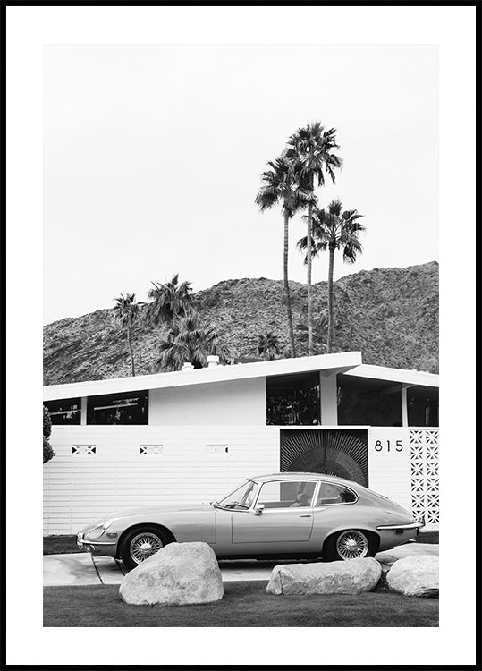 Paseo en Palm Springs II Póster