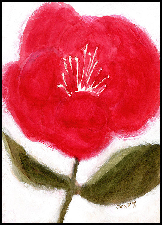 Floral en rojo para Cierra Póster