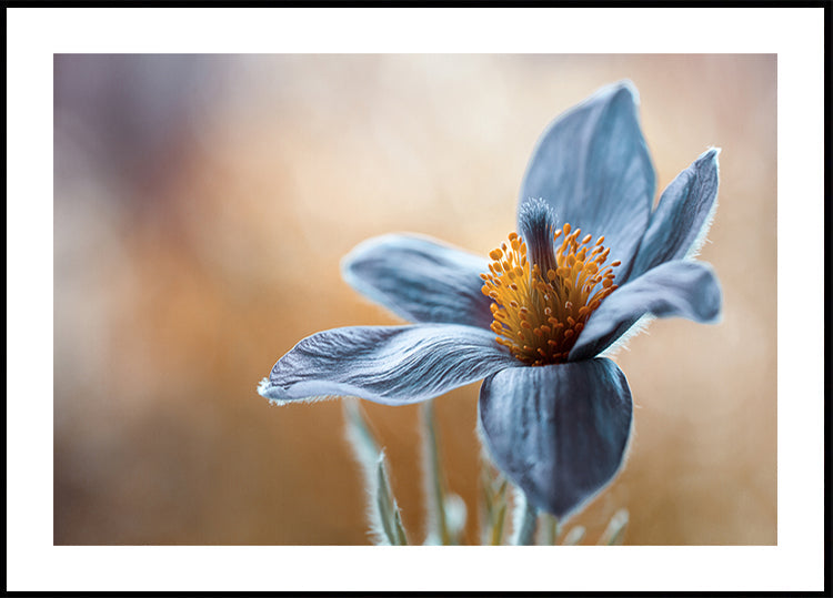 Pascua de Resurrección