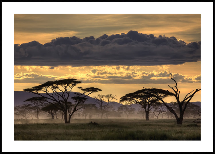 Buenas noches Tanzania.