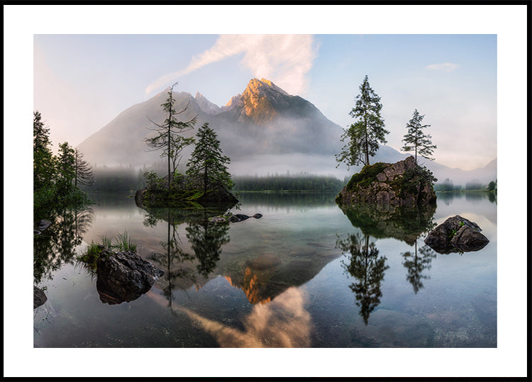 El despertar de la naturaleza Póster