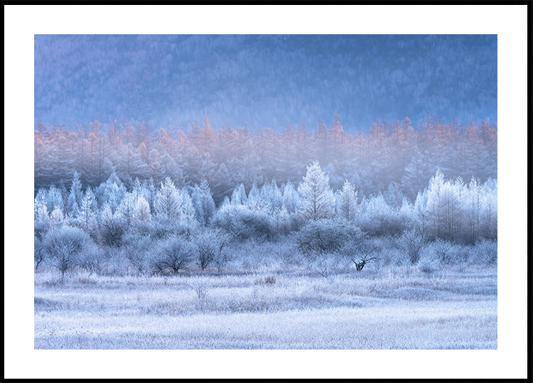 Póster Gradientes de otoño e invierno.