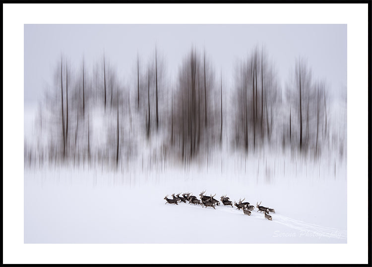 Póster Invierno en Hokkaido