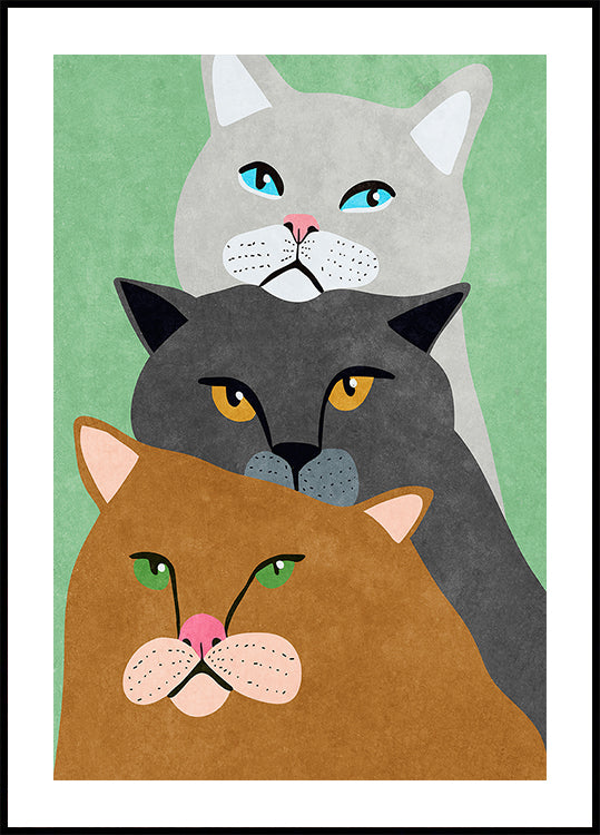 Trío de gatos Póster