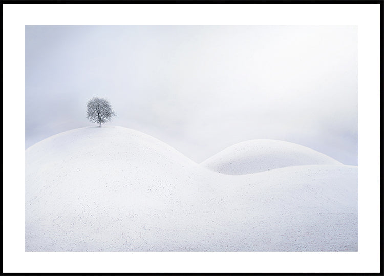 Póster Árbol solitario en las dunas de invierno