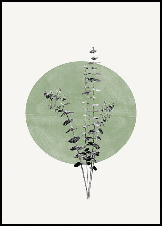 Eco de la naturaleza Póster