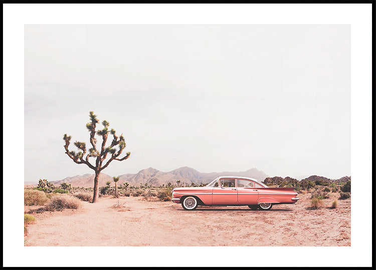Póster En el desierto