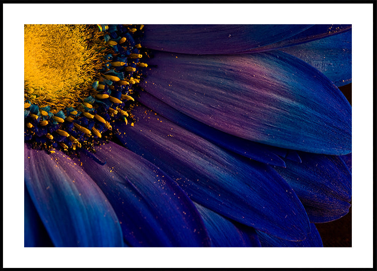 Rayos azules Póster