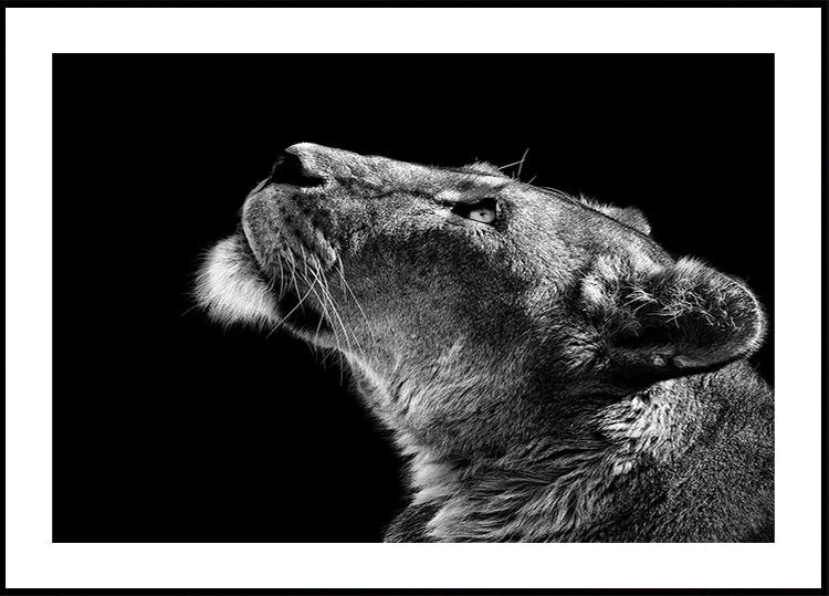 Póster Mirando hacia arriba