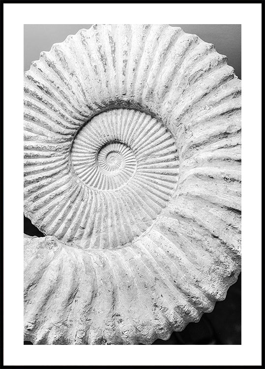 Sueños en espiral antiguos