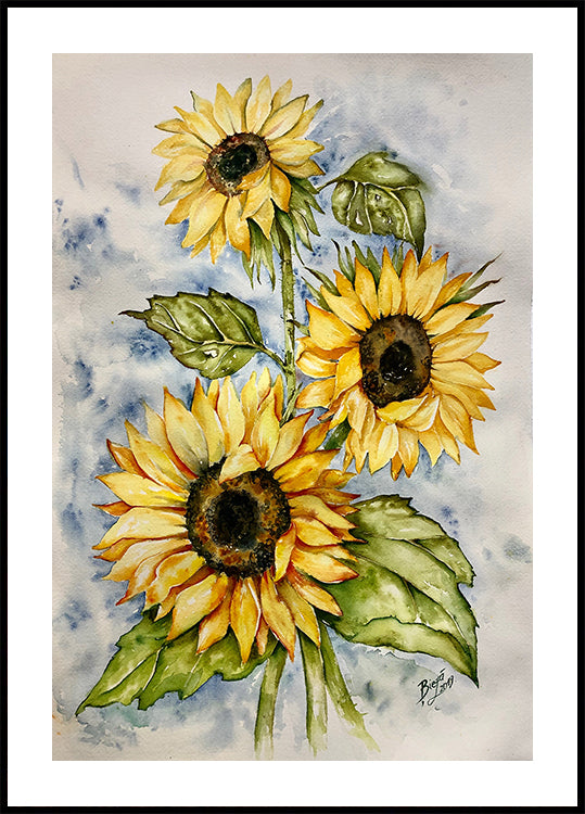 Girasoles