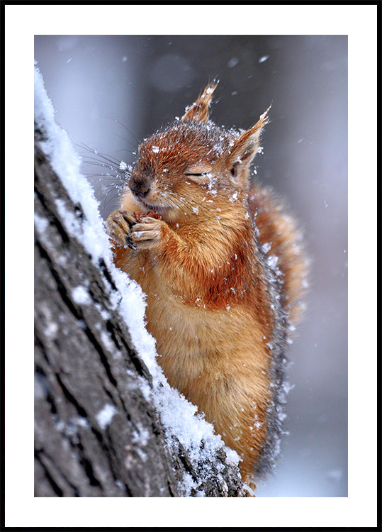 invierno