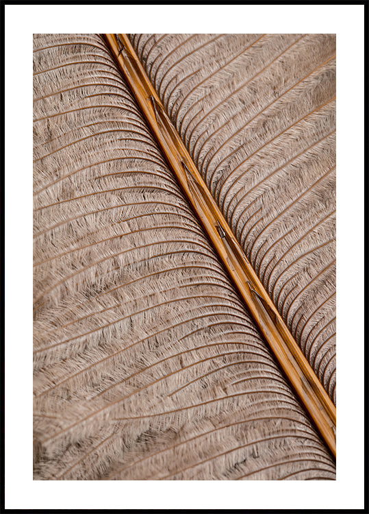 Pluma_007 Póster