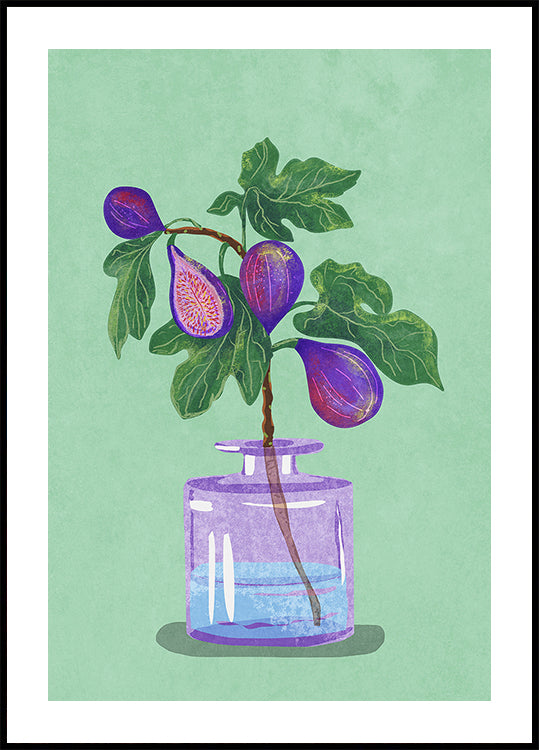Rama de higo en florero Póster