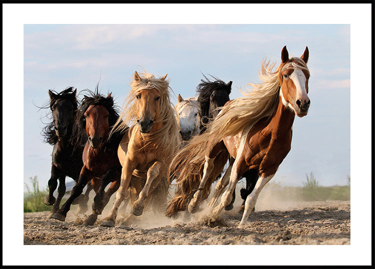 Seis afortunados Póster