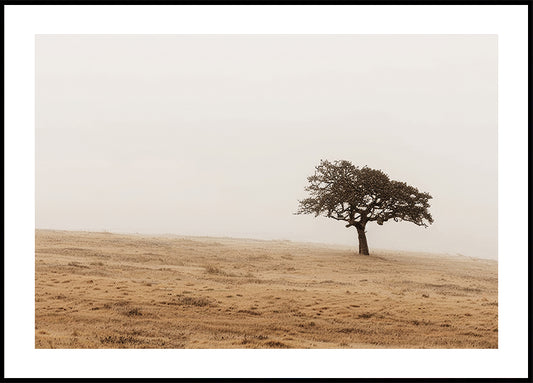 Póster de campo de hierba otoñal y árbol solitario