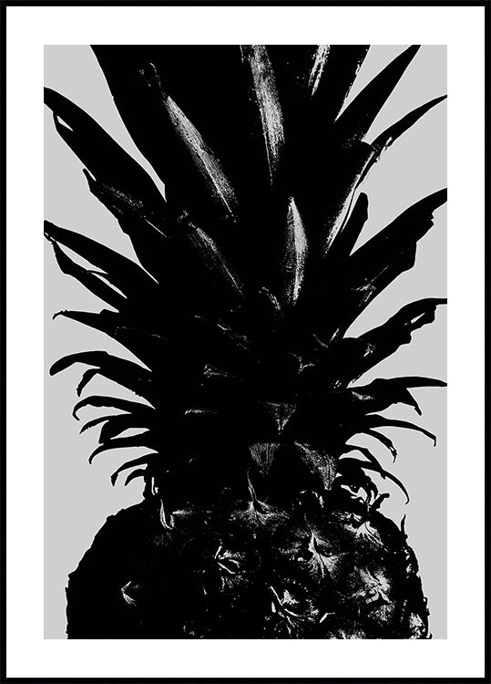 piña bw