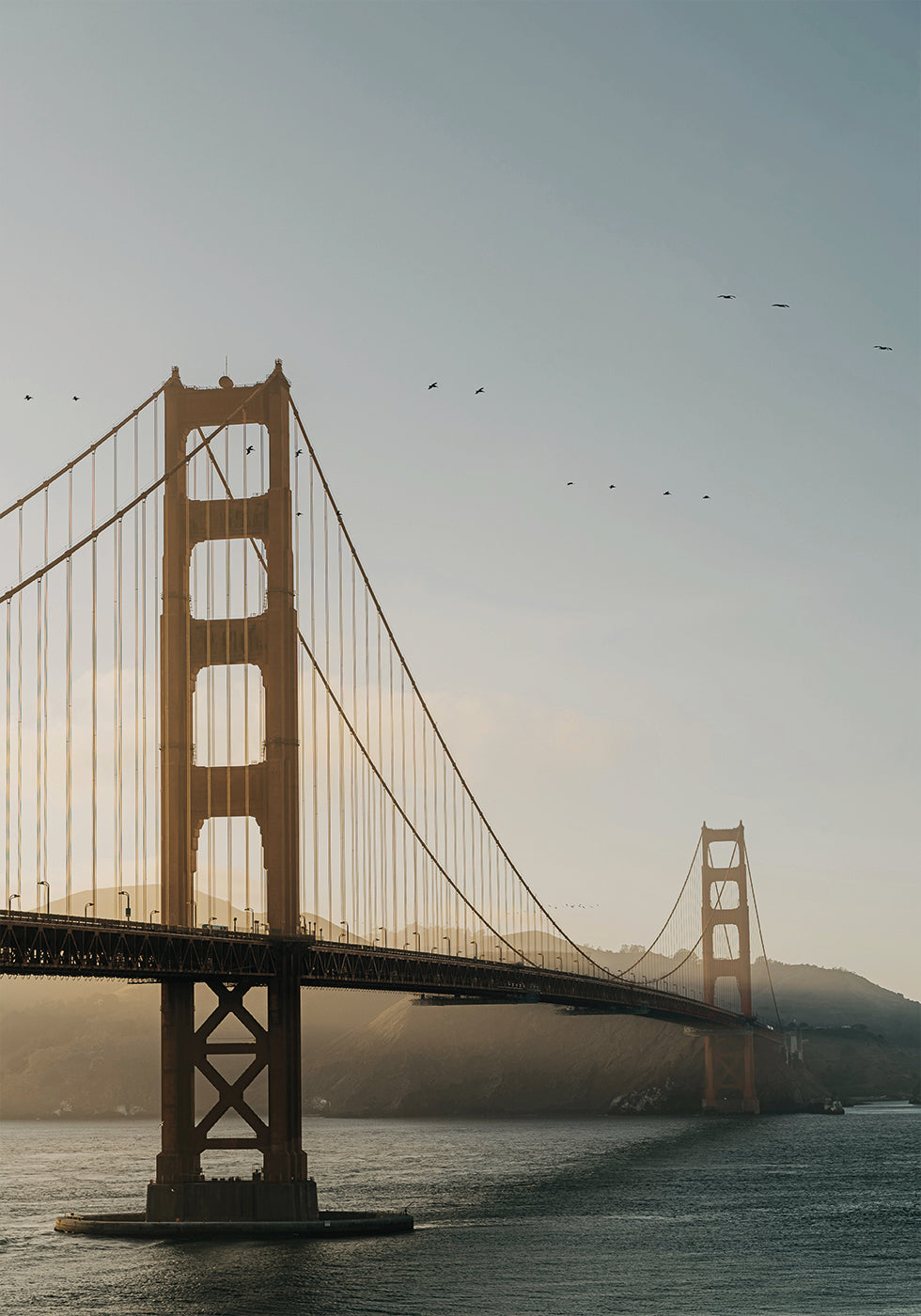 Golden Gate Bridge Plakat - Posterbox.dk