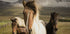 Graceful Horses Plakat - Posterbox.dk