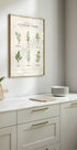 Herbs Plakat - Posterbox.dk