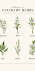 Herbs Plakat - Posterbox.dk