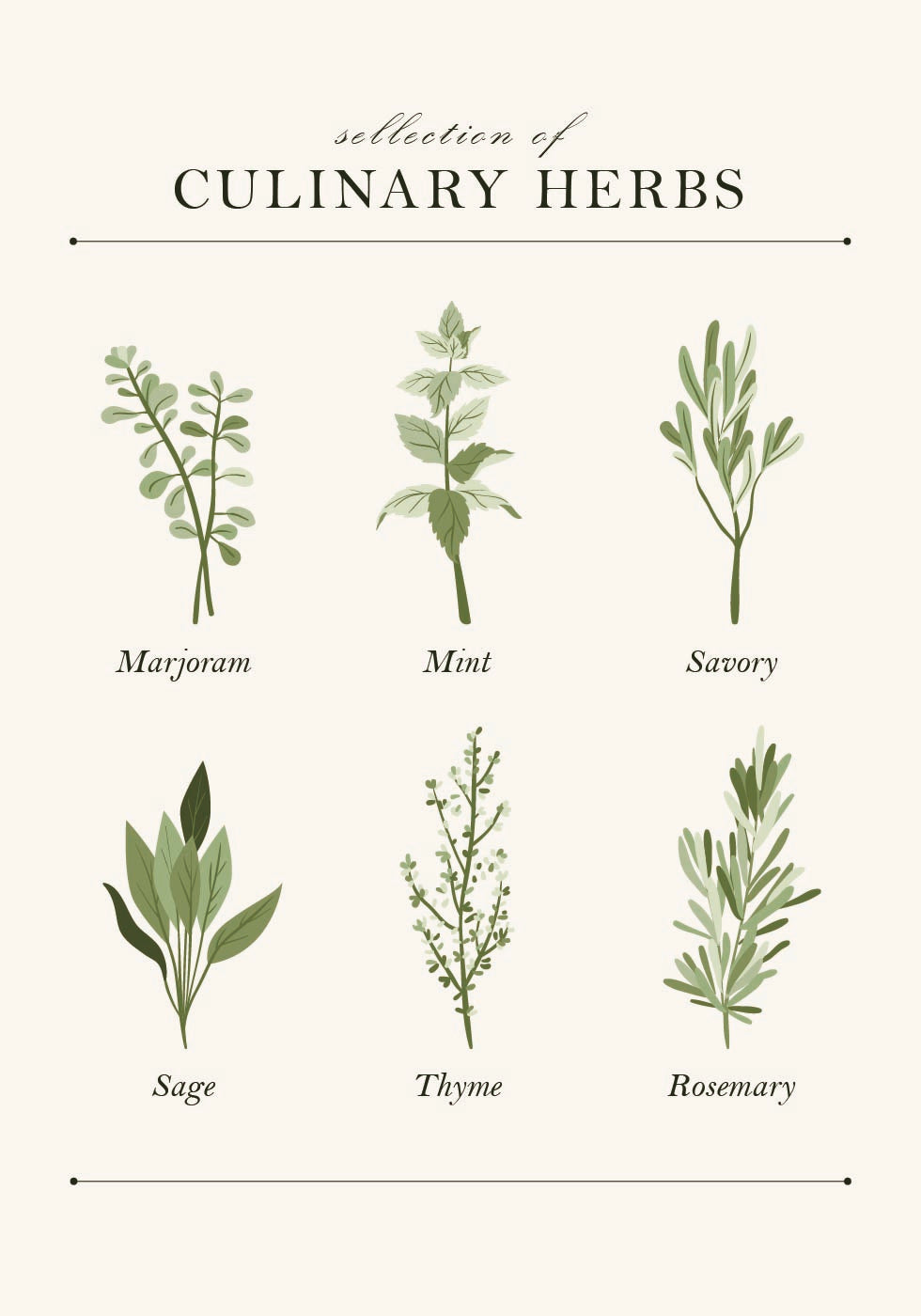 Herbs Plakat - Posterbox.dk