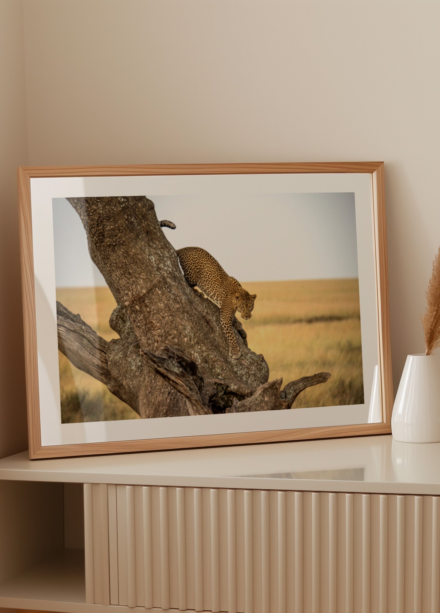 Árbol descendente de leopardo
