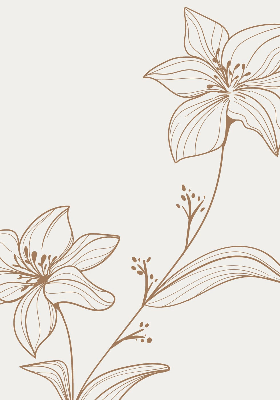 Line Art Flower No.1 Plakat - Posterbox.dk