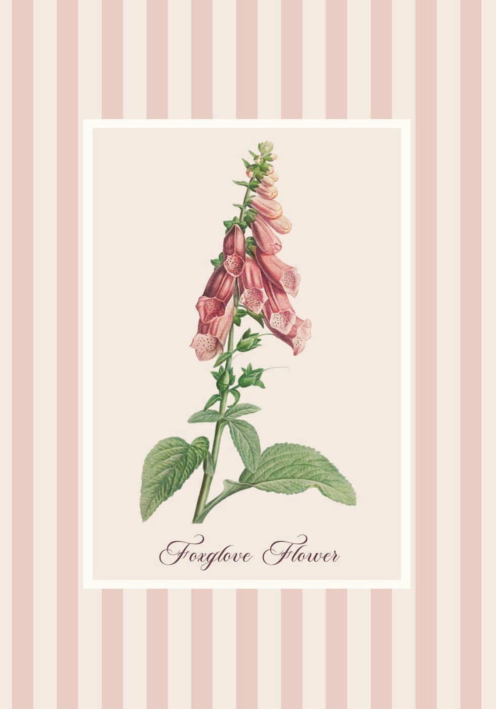 Póster de flor dedalera rosa