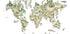 Animal World Map Plakat - Posterbox.dk