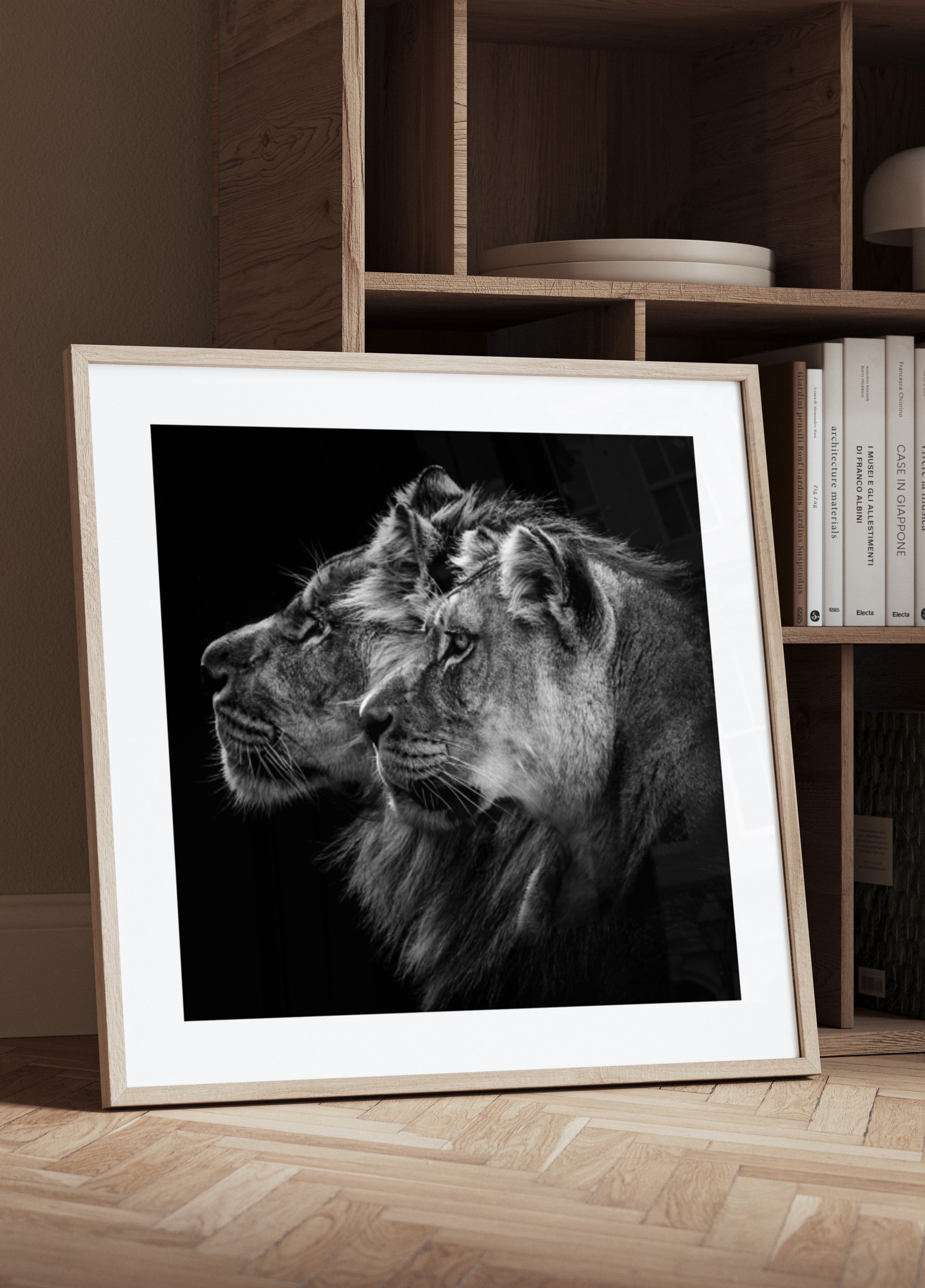 Pareja de leones reales