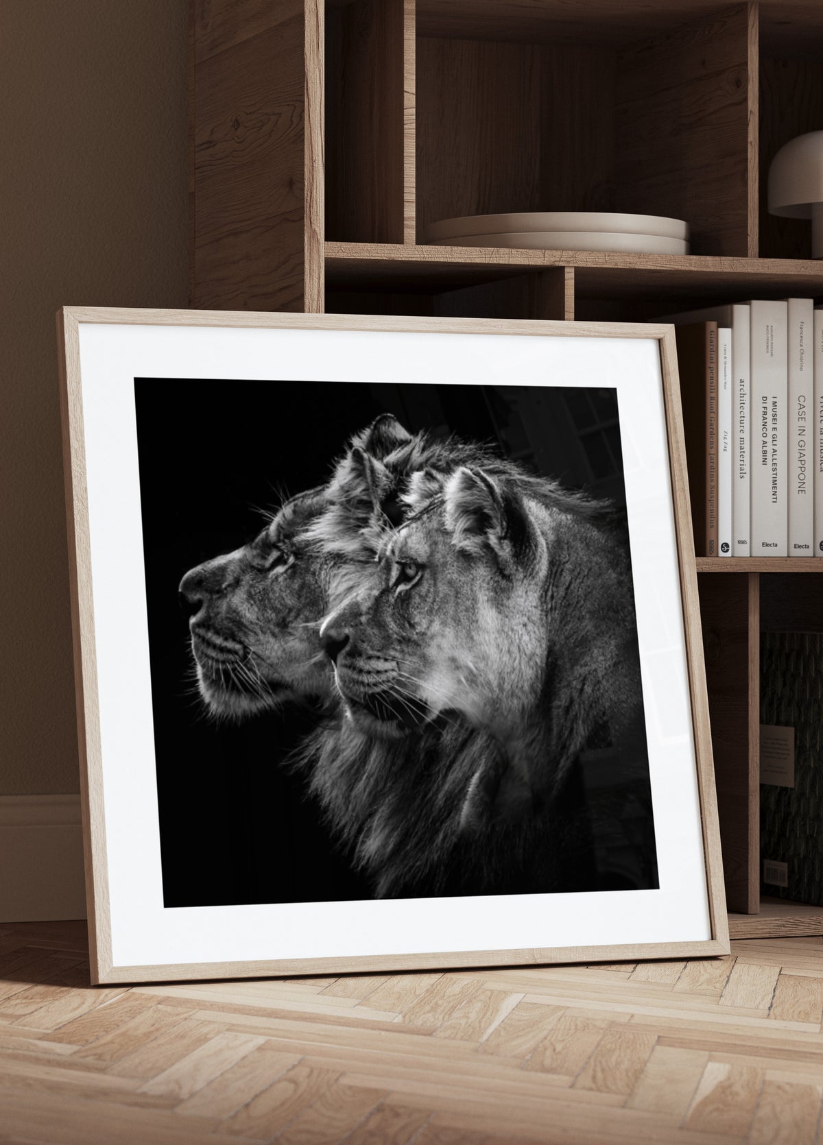Pareja de leones reales