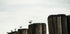 Seagulls Harbor Plakat - Posterbox.dk