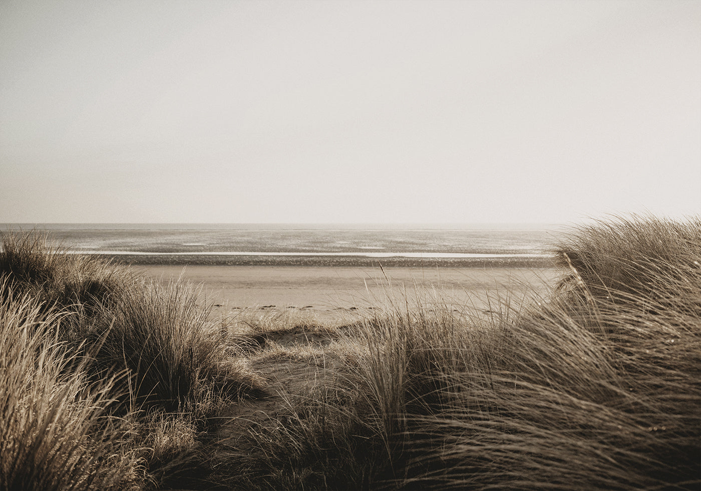 Póster Vista de la playa desde detrás de la hierba 