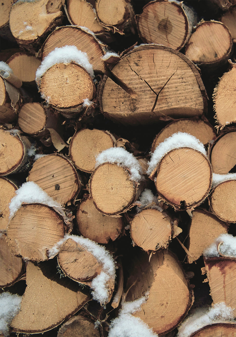 Wooden Logs Plakat - Posterbox.dk