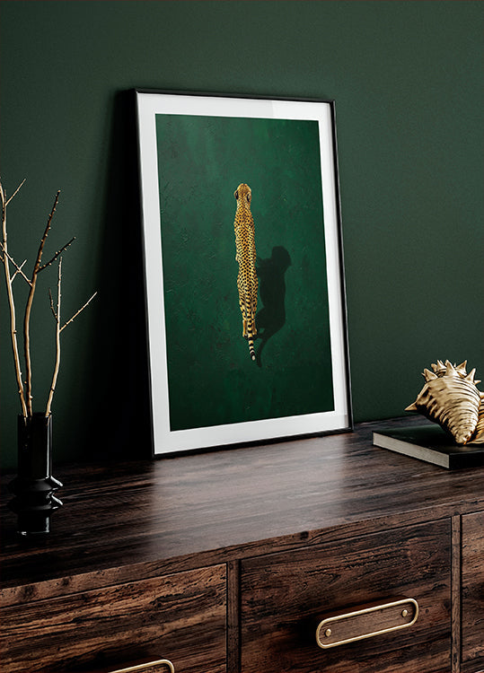 Solitary Cheetah Shadow Poster - Posterbox