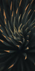 Spiral Plant Texture Plakat - Posterbox.dk