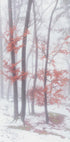 Autumnal snow Plakat - Posterbox