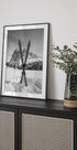 Crossed Skis Plakat - Posterbox