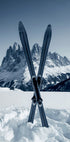 Crossed Skis Plakat - Posterbox