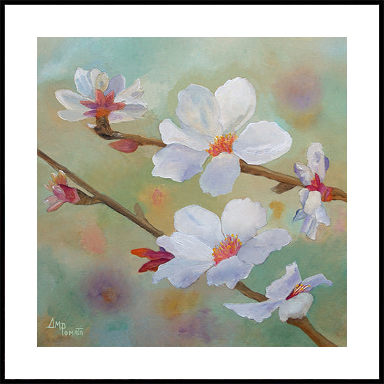 Almond Blossoms Iii (NEW) - Posterbox