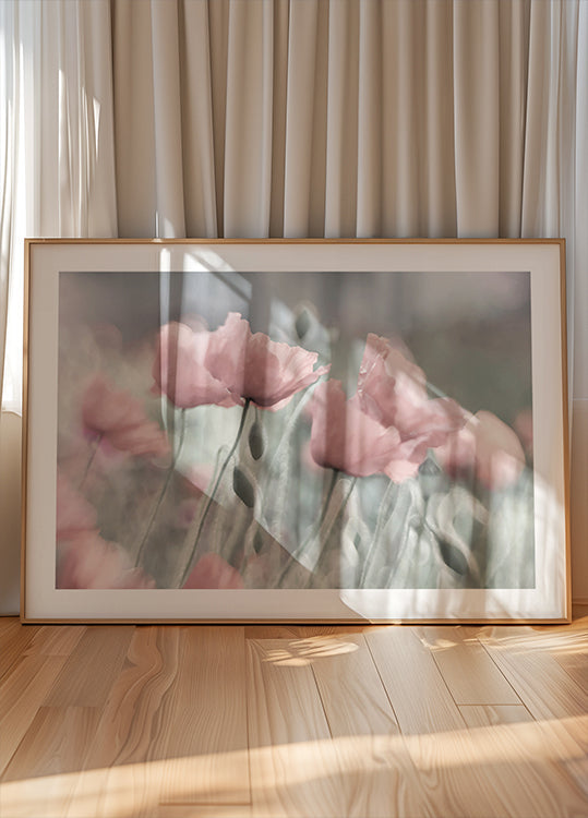 Softly - Posterbox
