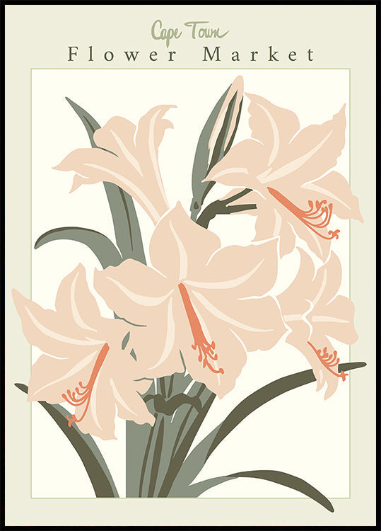 Flower Market Cap Town Amaryllis Plakat - Posterbox