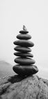 Balance Plakat - Posterbox.dk
