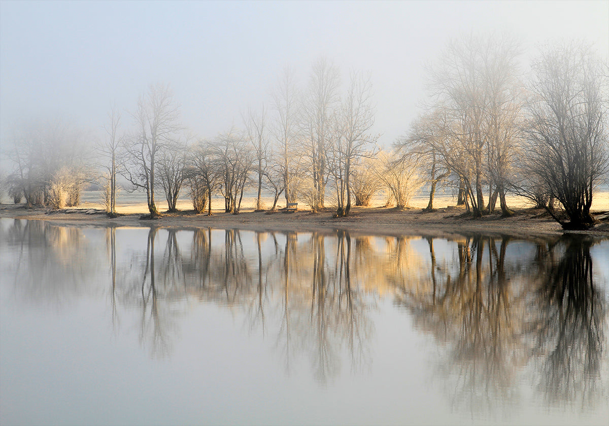 january morning Plakat - Posterbox