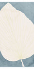 Illustration Of A Large Leaf (NEW) - Posterbox