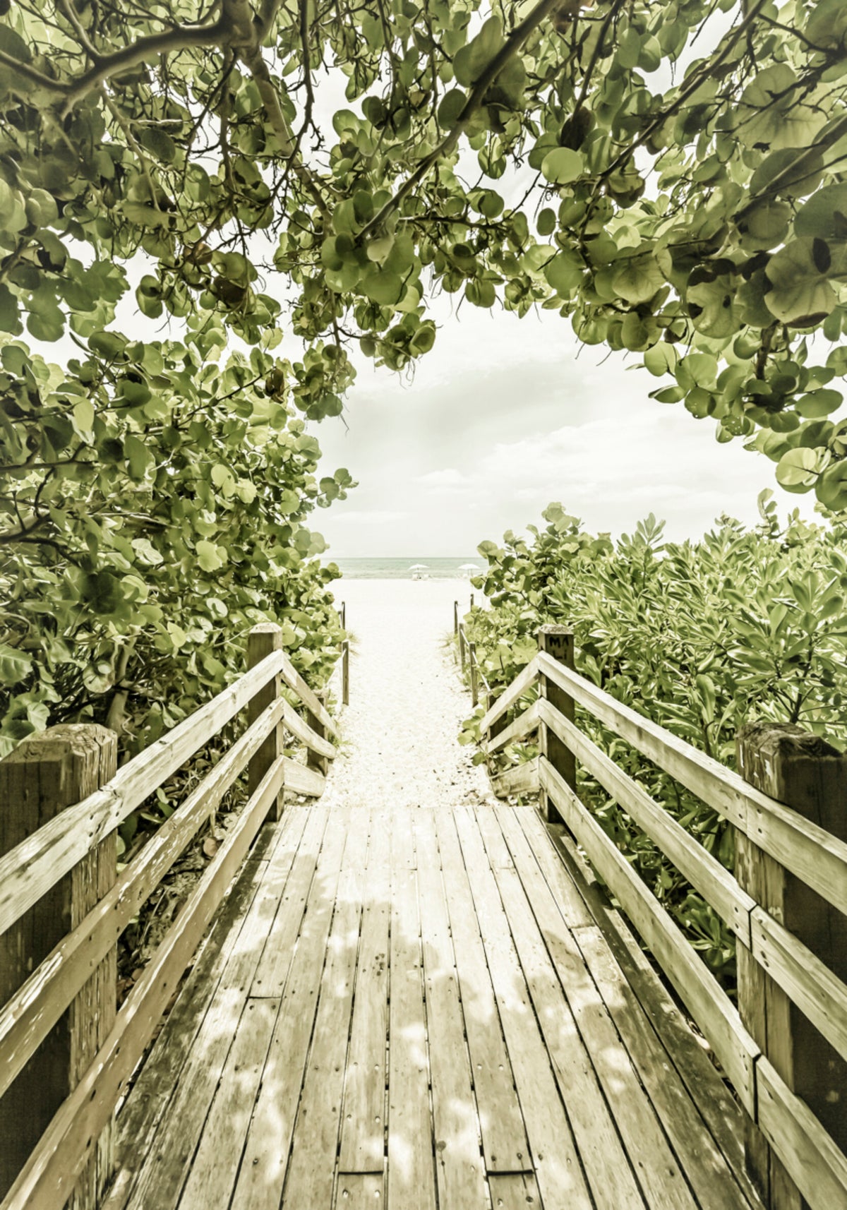 Camino de playa tropical