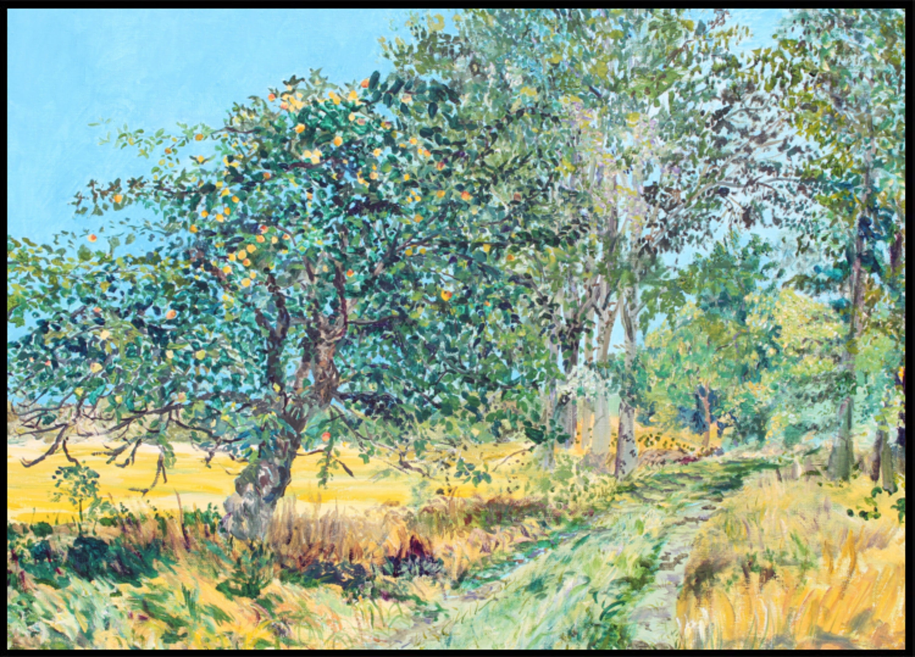 Camino del huerto soleado