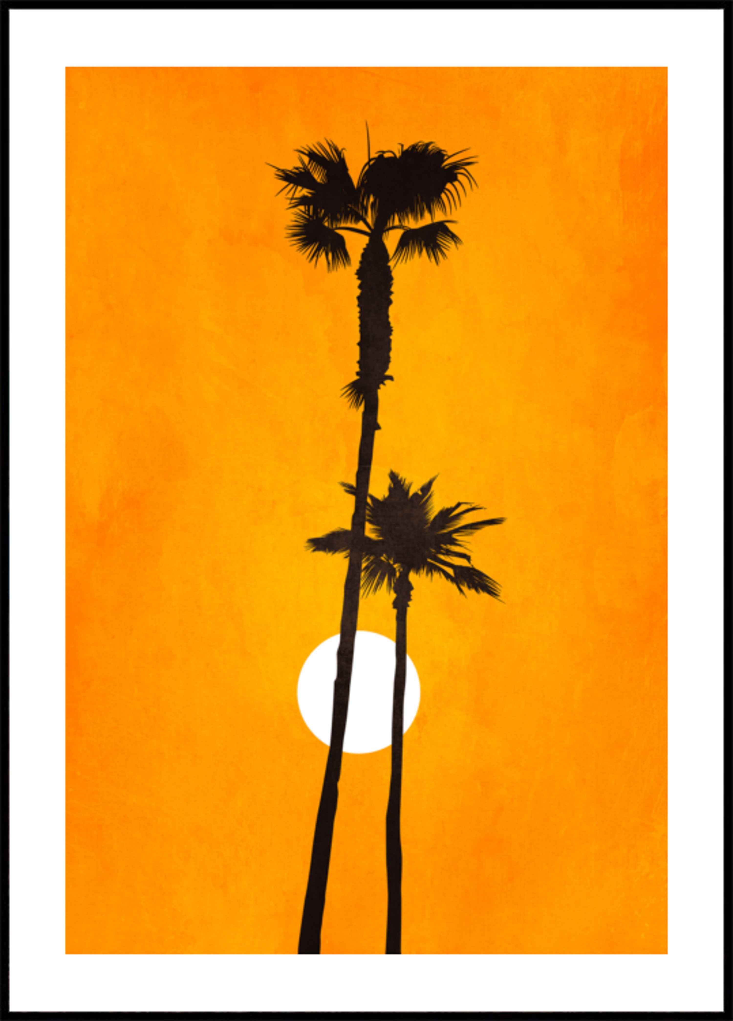 Paraíso del sol