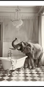 Elephant's Elegant Bathtub